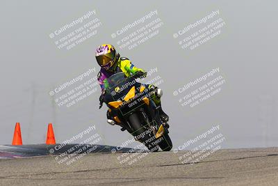 media/Feb-10-2023-TrackDaz (Fri) [[827c11d241]]/C Group/1245pm (Outside Grapevine)/